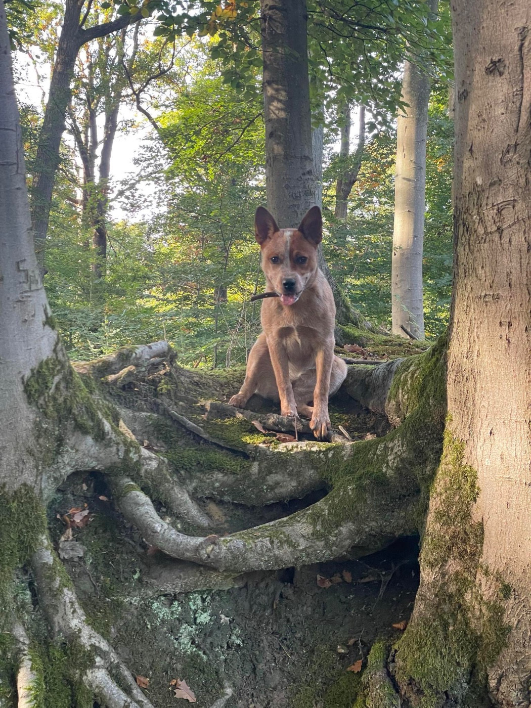 All You Need Is Love Des Trésors De Méléa