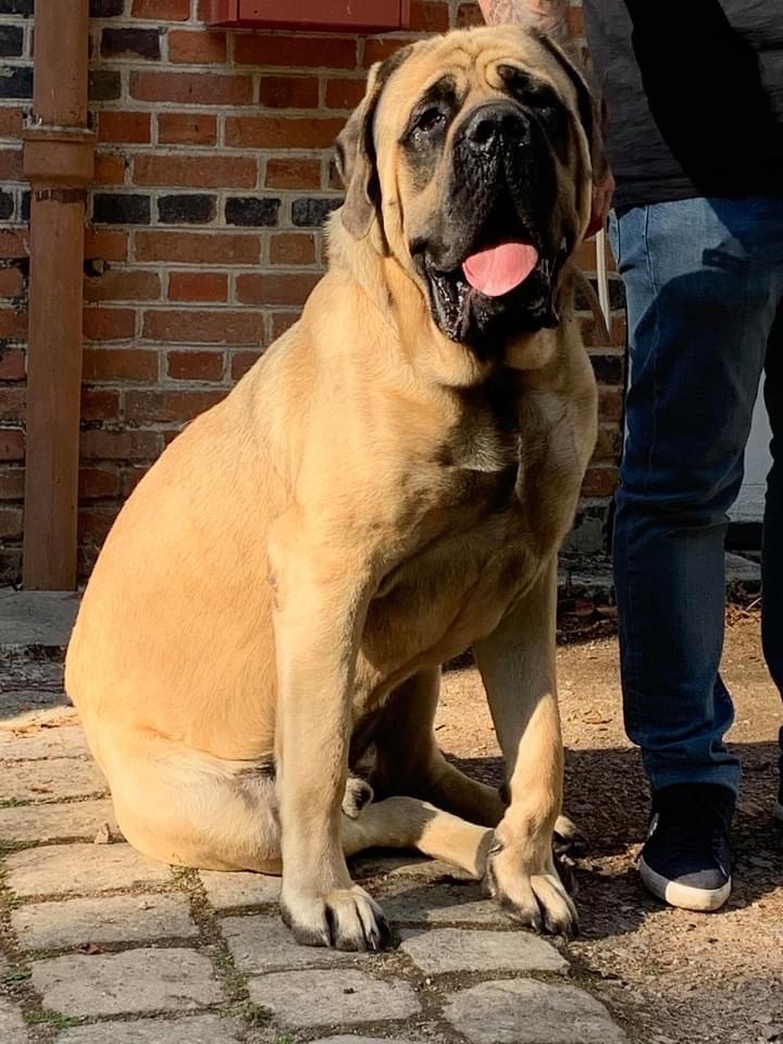 Publication : (Sans Affixe)