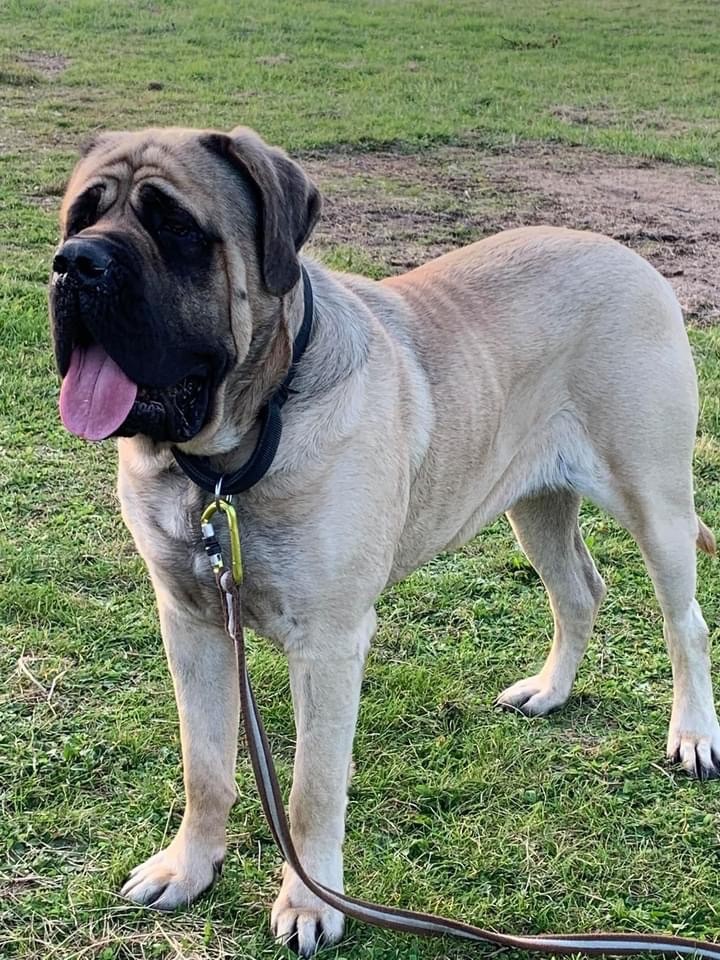 Publication : (Sans Affixe)