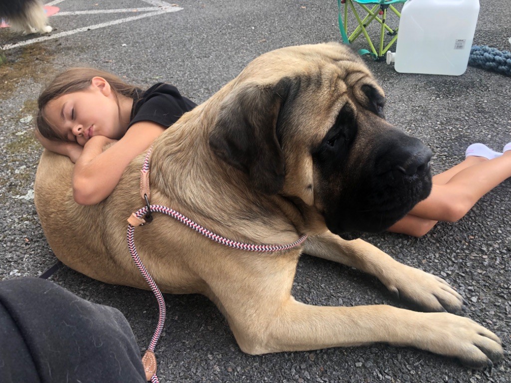 Publication : (Sans Affixe)