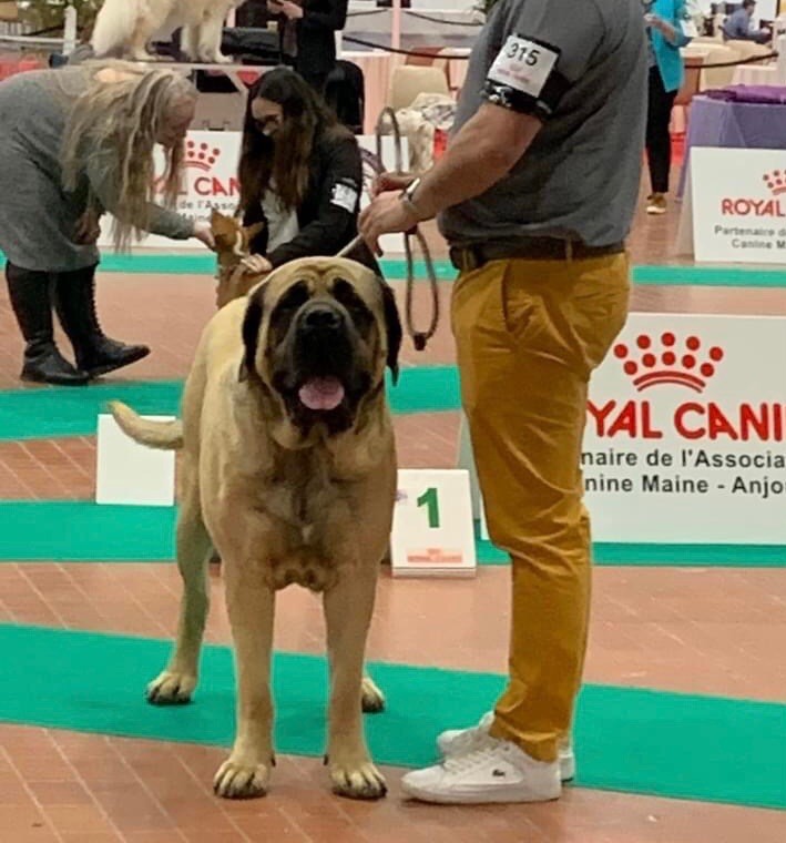 Publication : (Sans Affixe)