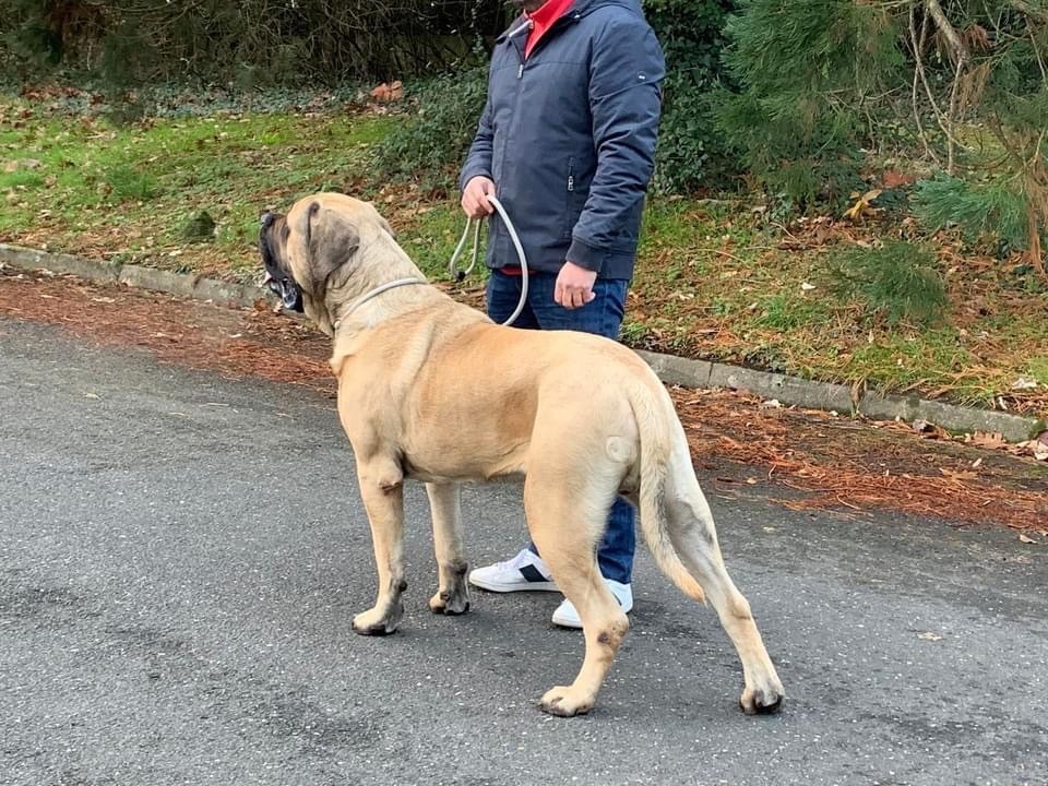 Publication : (Sans Affixe)