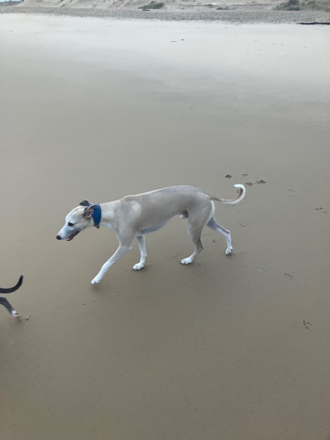 Publication : De L’Hostel De Pinoy Auteur : Jean-Yves Pinoy