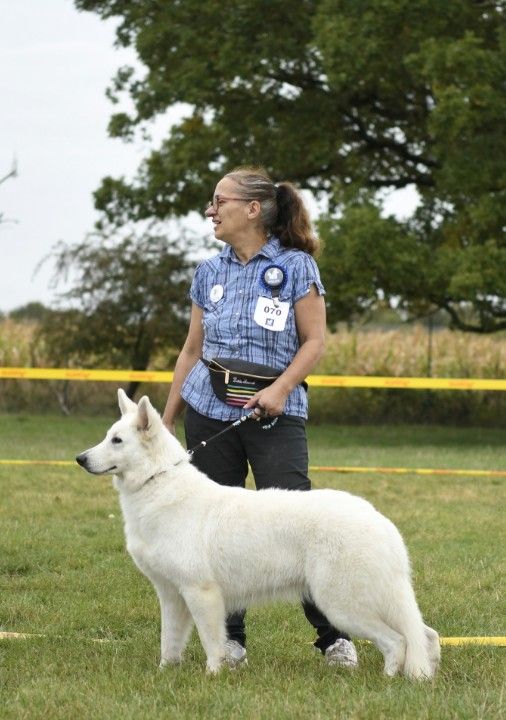 CH. Victory to my king sabba Entre Ciel Et Terre