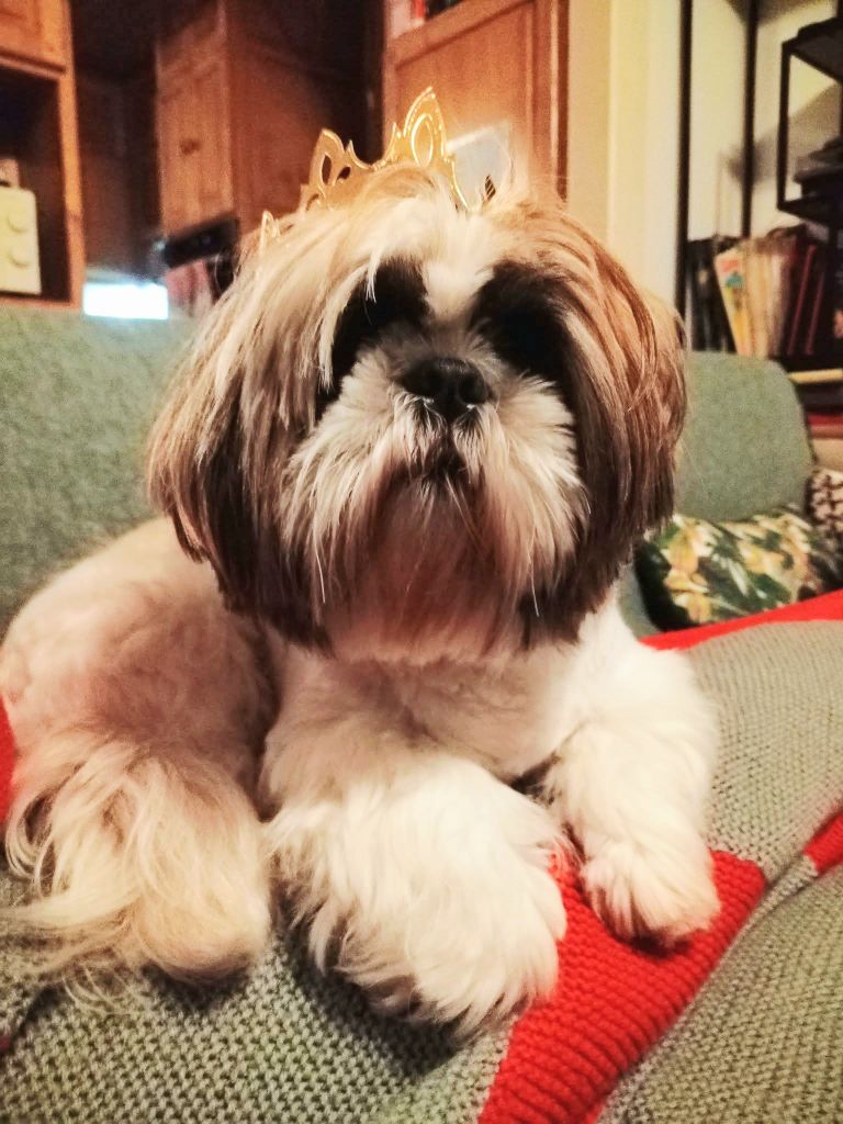 Thaïs Du Domaine De Sheitan