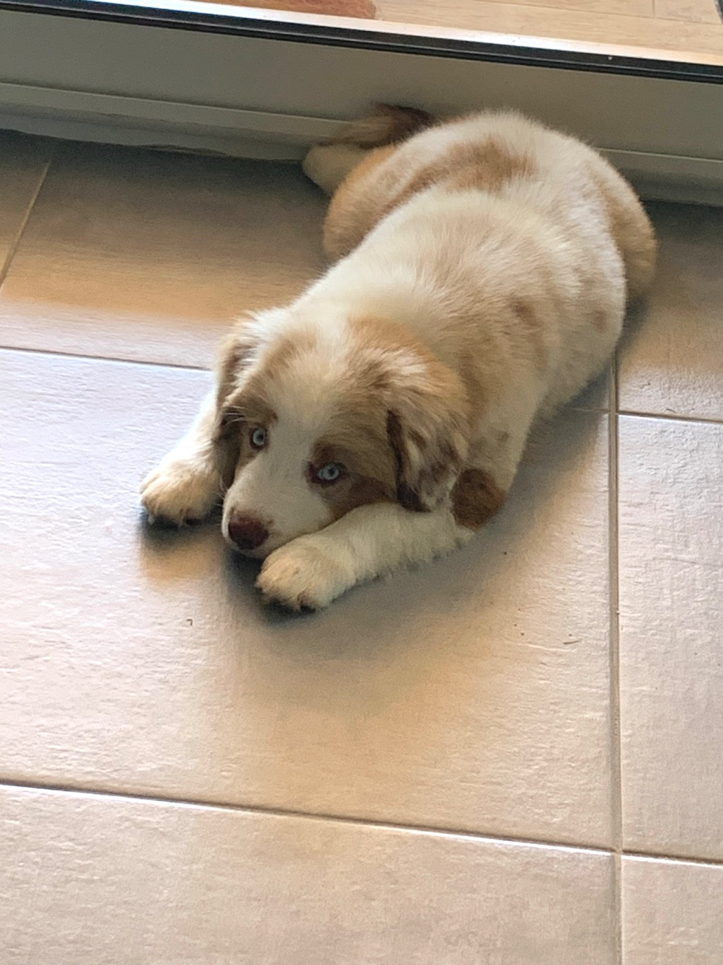 BEN