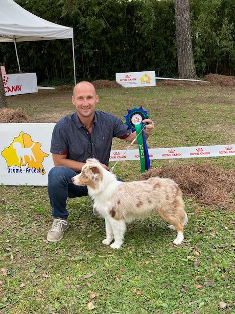 Ulla hoop Of American Madness - CACS - JEUNE : 1ère excellente (1/4). Meilleure jeune.