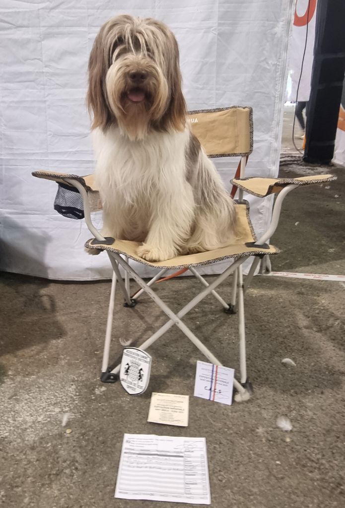 CH. U'blue Des Loustics De Pen Ar Bed