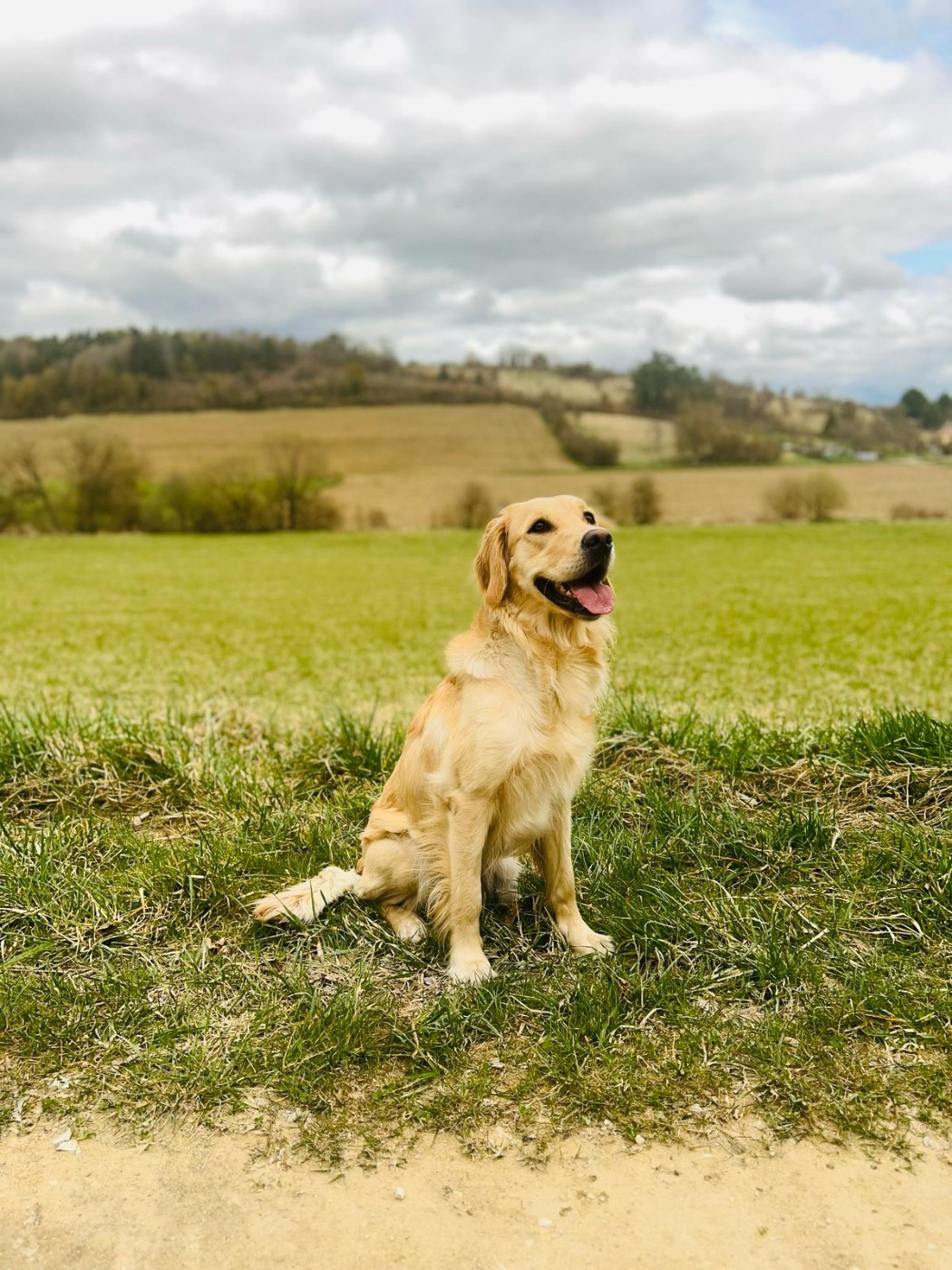 Ulka De La Cuvée Des Golden Boss