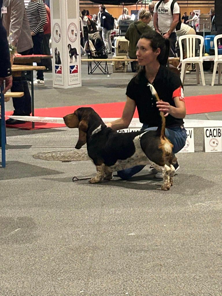 Shadow Du Ruisseau De La Manine