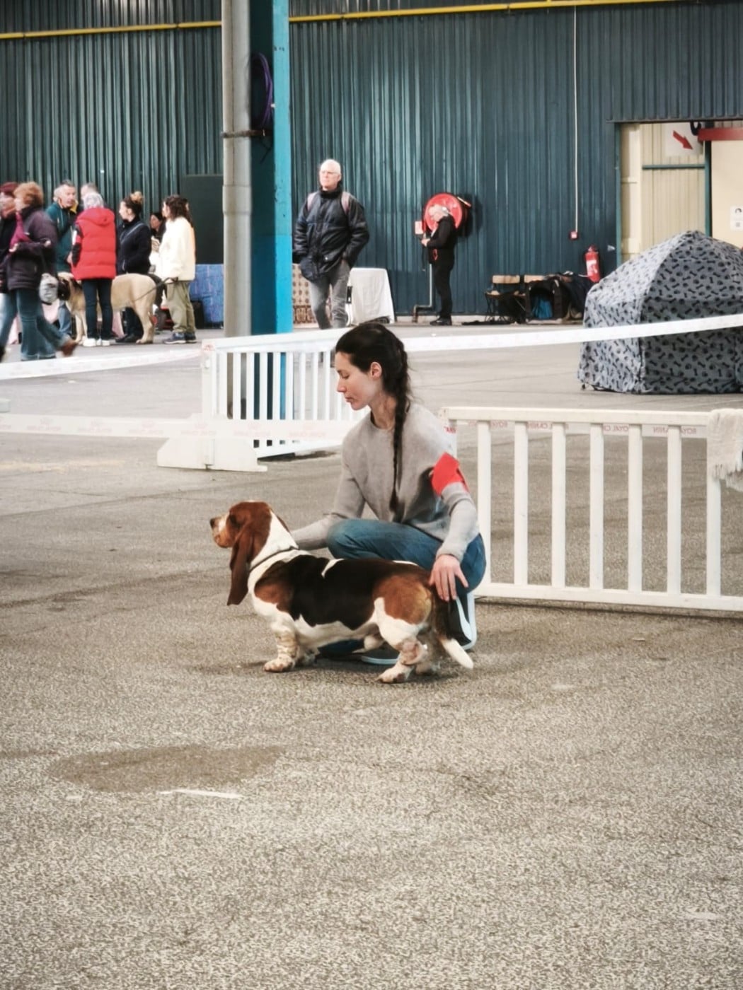 Vagabond Des Contrées Alpines - 2° très bon