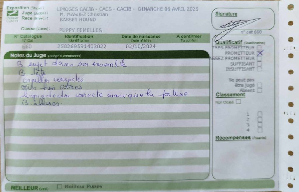 Vitavie Des Contrées Alpines - Prometteur