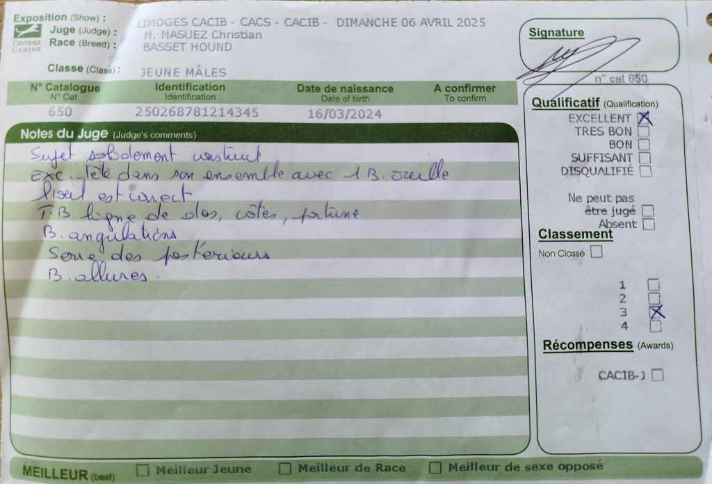 Vagabond Des Contrées Alpines - 3° excellent