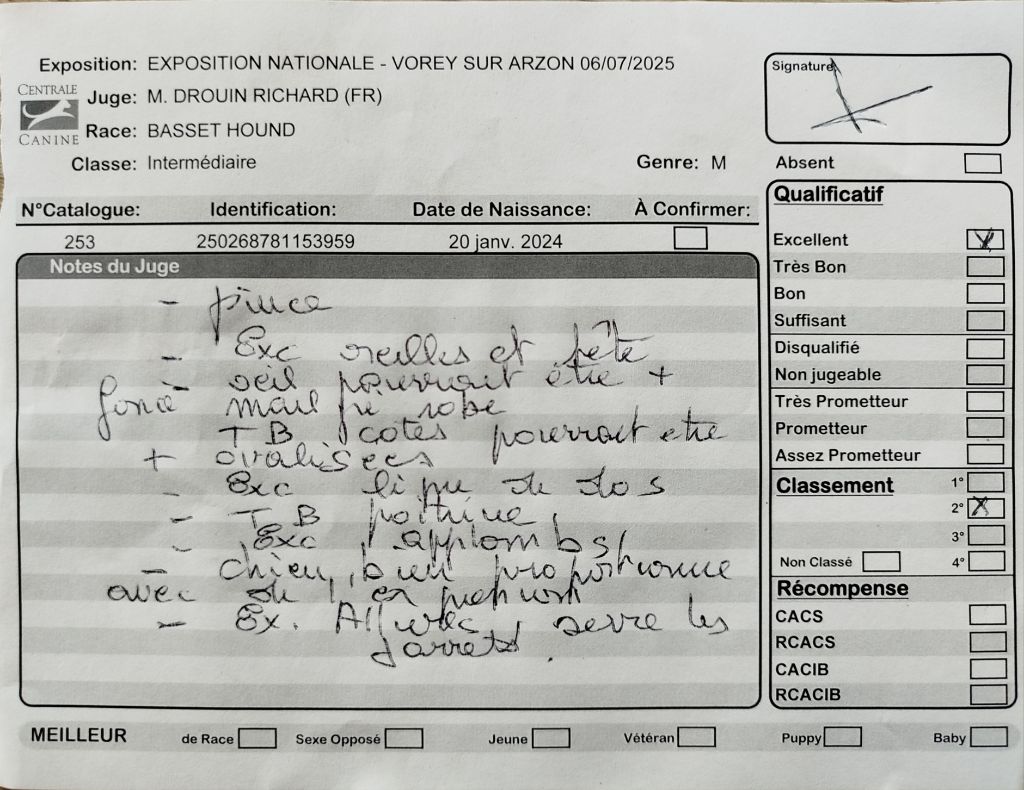 Votre altesse z'oreilles des Cotes de la Saunade - 2° excellent