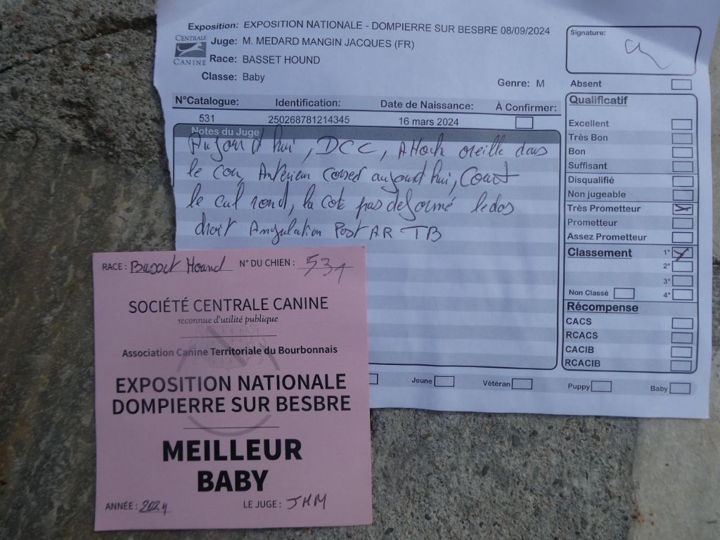 Vagabond Des Contrées Alpines - 1 Très prometteur - Meilleur Baby