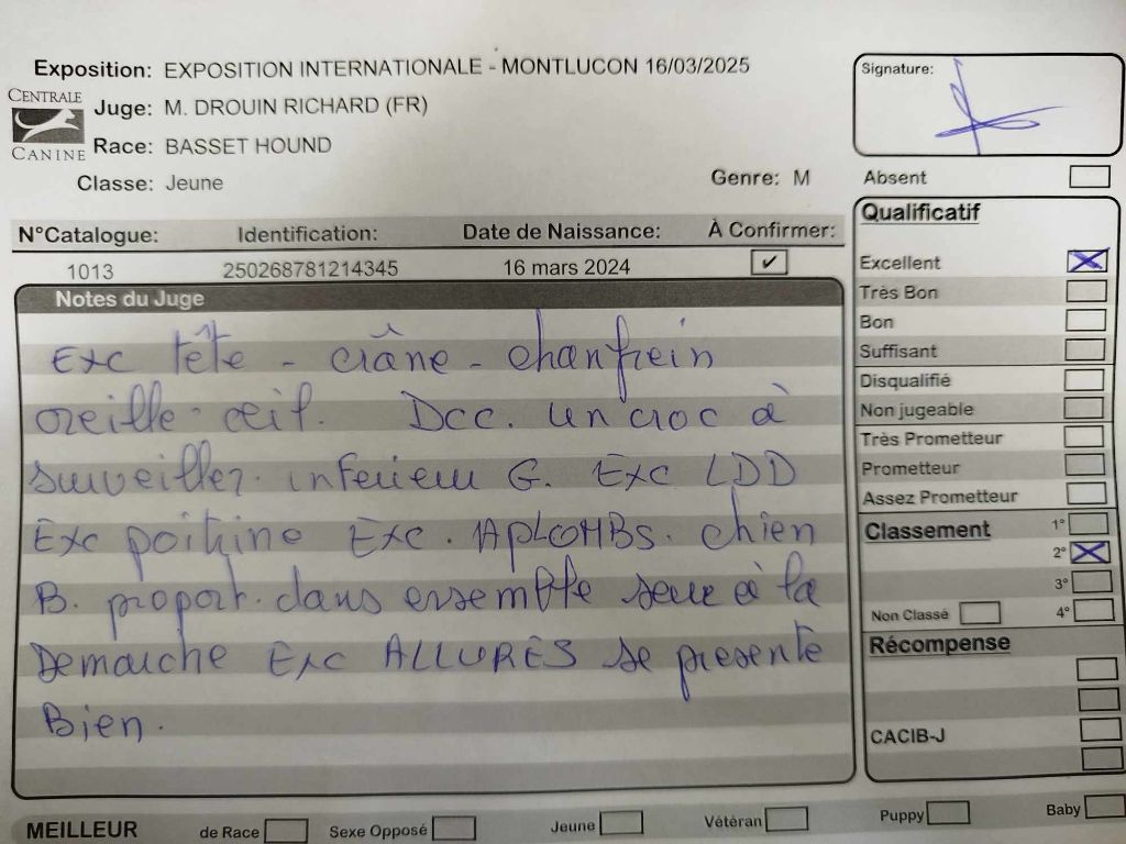 Vagabond Des Contrées Alpines - 2° Excellent