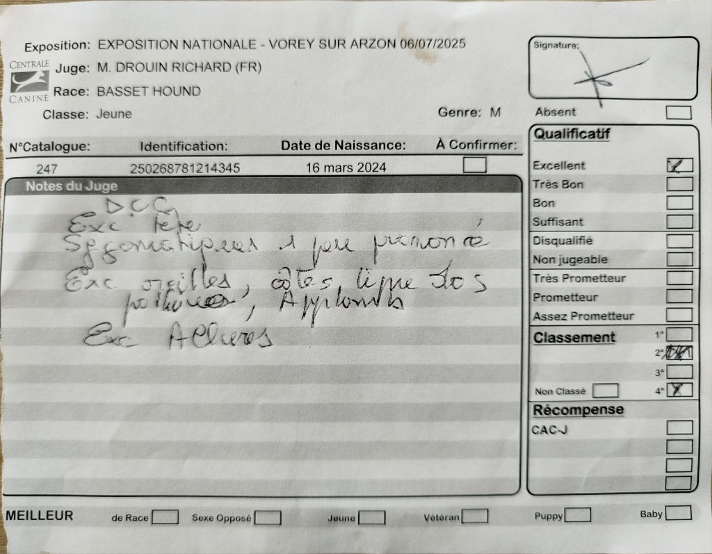 Vagabond Des Contrées Alpines - 4° excellent