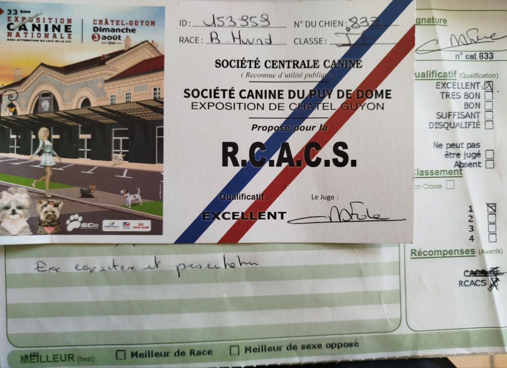 Votre altesse z'oreilles des Cotes de la Saunade - 1° Excellent, RCACS