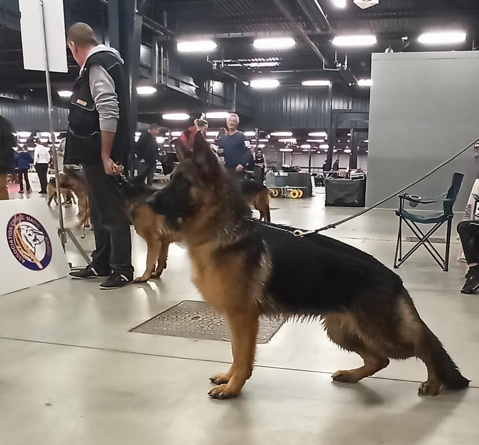 Publication : du marais de Lilou