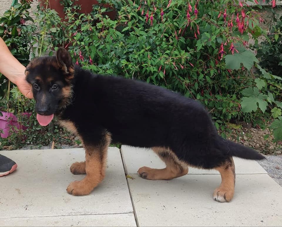 Publication : du marais de Lilou