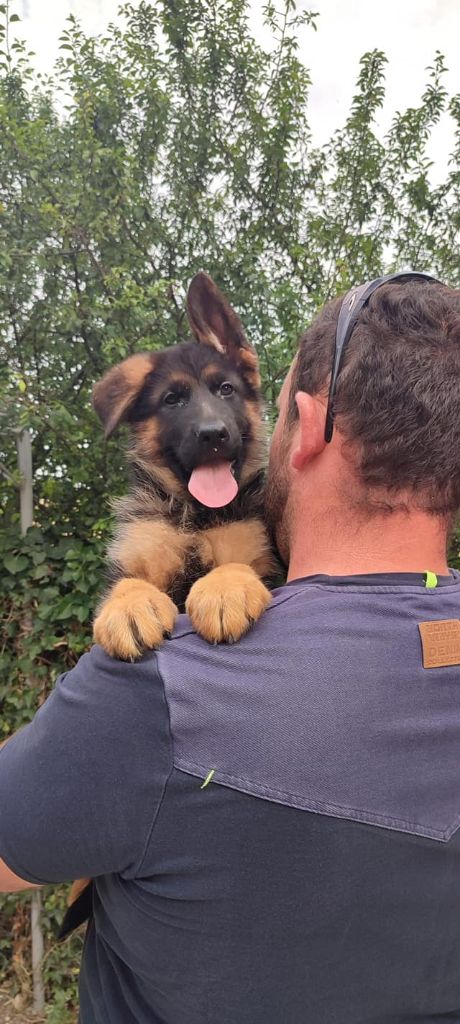 Publication : du marais de Lilou