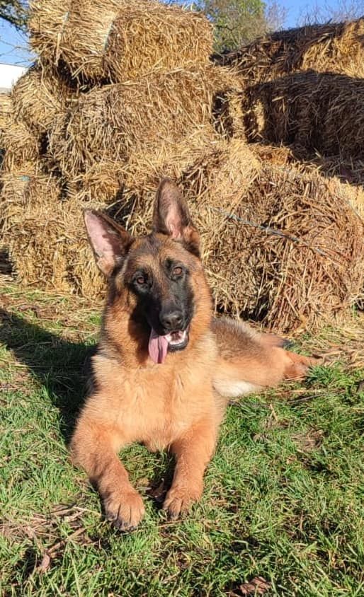 Publication : du marais de Lilou