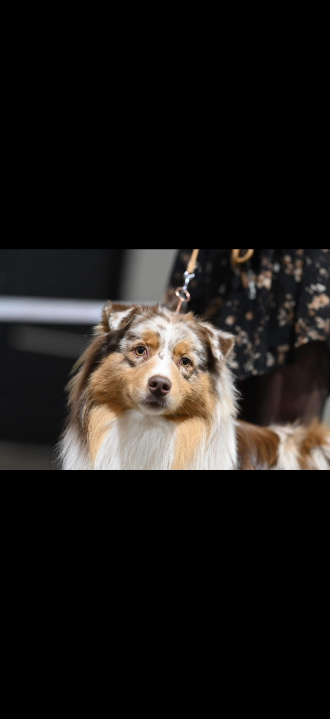 Very good vibes du Paradis des Étoiles Australes
