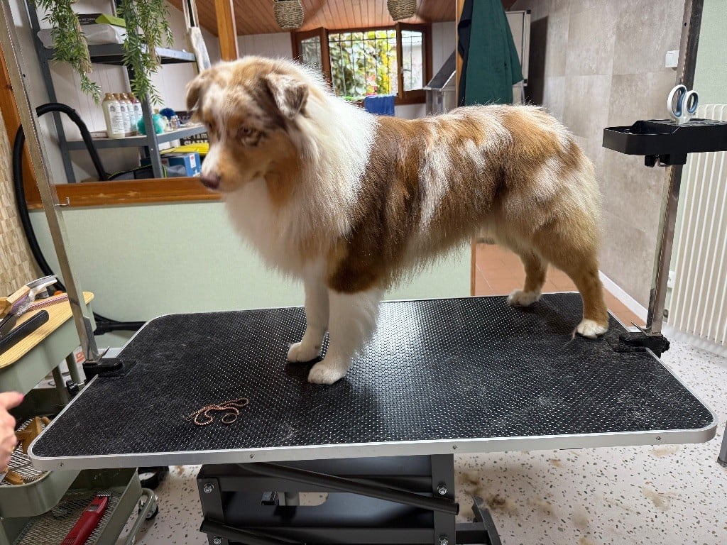 Very good vibes du Paradis des Étoiles Australes