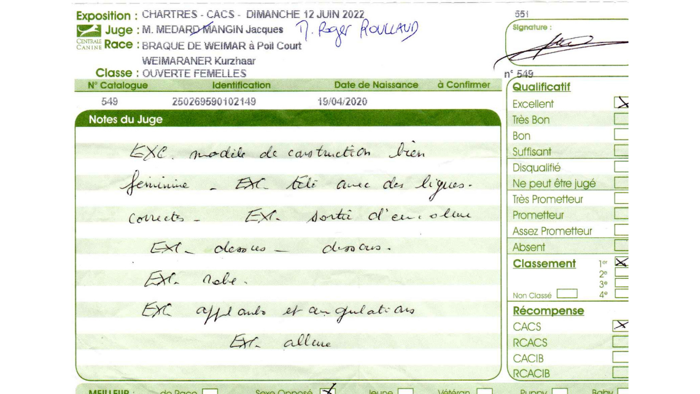 TR. CH. Roxy De gray ghost' de la chevalerie - 1 EXCELLENT CACS