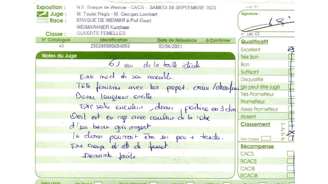 Skada De gray ghost' de la chevalerie - 3ème Excellent
