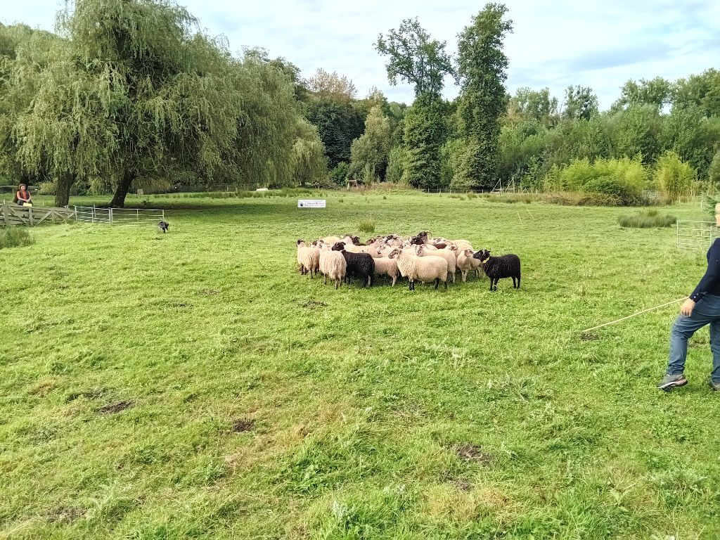 Publication : Du Domaine Saint Nicolas Auteur : Catherine PAVIOT