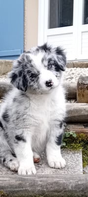 Du Domaine Saint Nicolas