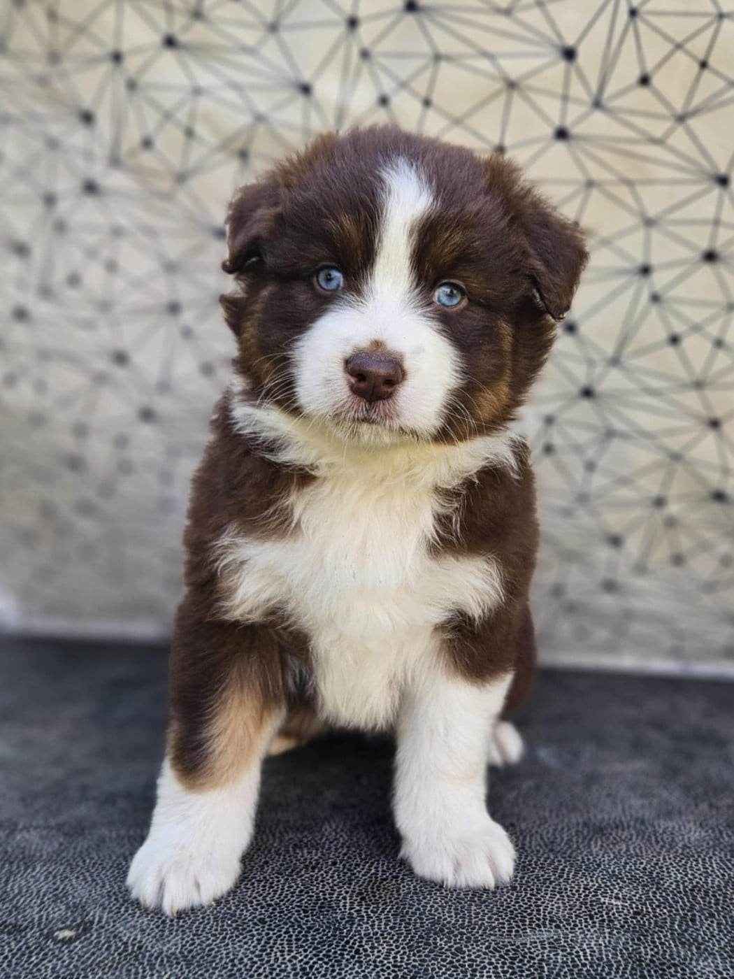 A CENT POUR CENT JINX de nanj'kaibloom