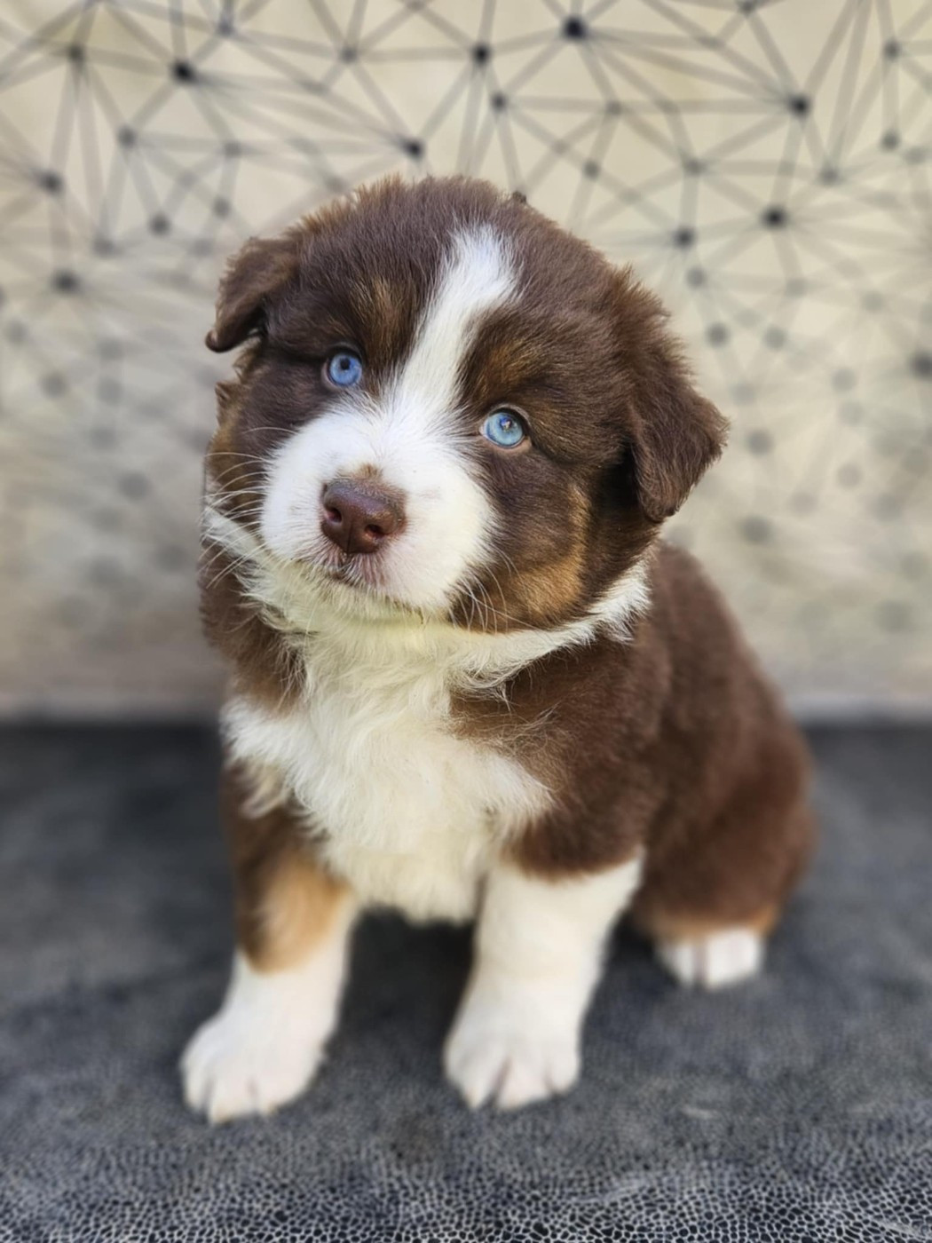 A CENT POUR CENT JINX de nanj'kaibloom