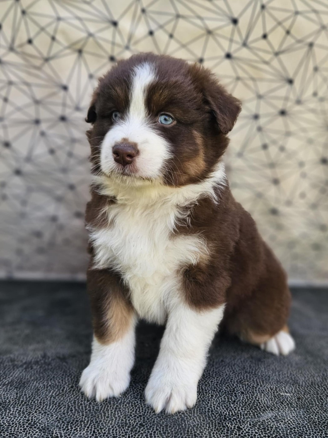 A CENT POUR CENT JINX de nanj'kaibloom