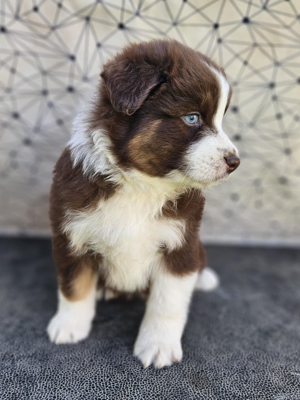 A CENT POUR CENT JINX de nanj'kaibloom