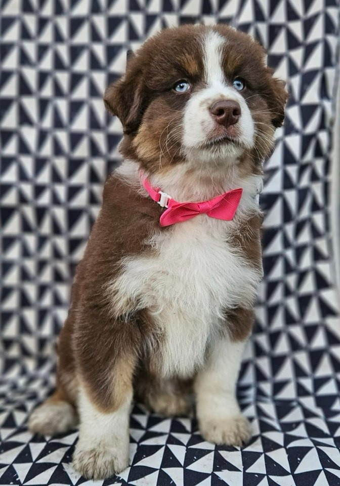 A CENT POUR CENT JINX de nanj'kaibloom