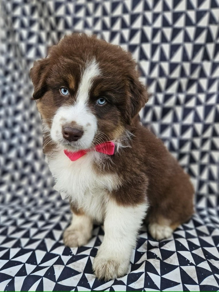 A CENT POUR CENT JINX de nanj'kaibloom