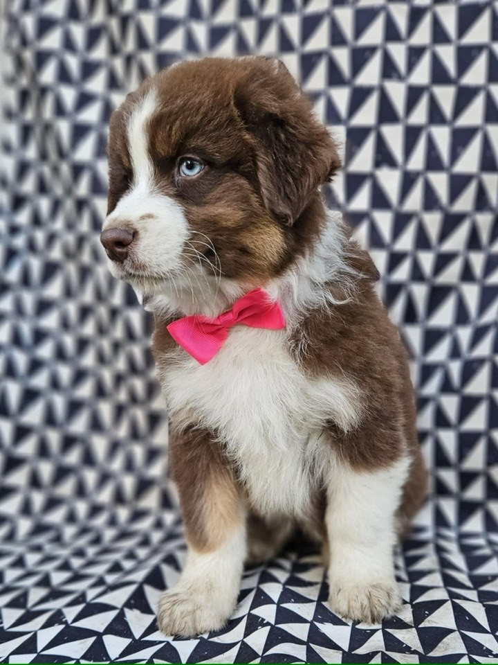 A CENT POUR CENT JINX de nanj'kaibloom