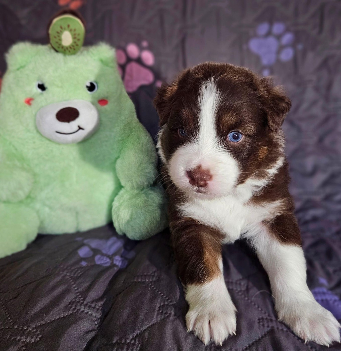 A CENT POUR CENT JINX de nanj'kaibloom