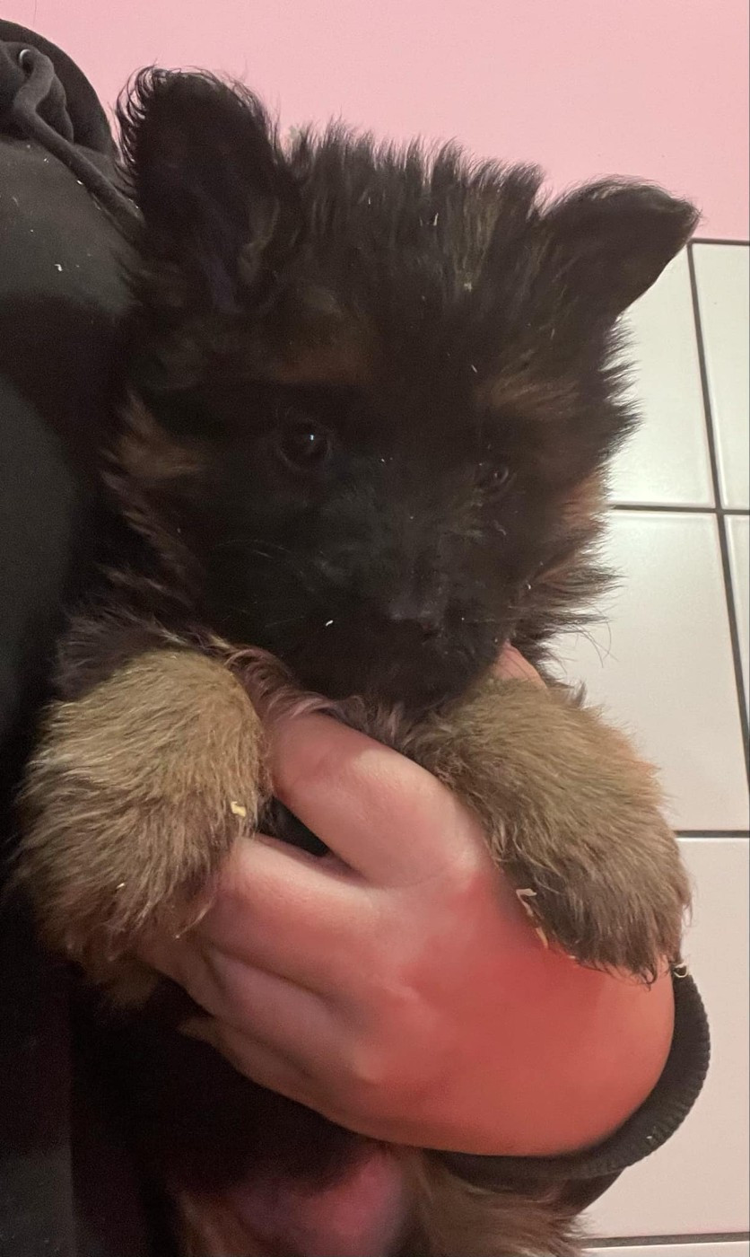 Légitime Démence Vibes-of-darkness