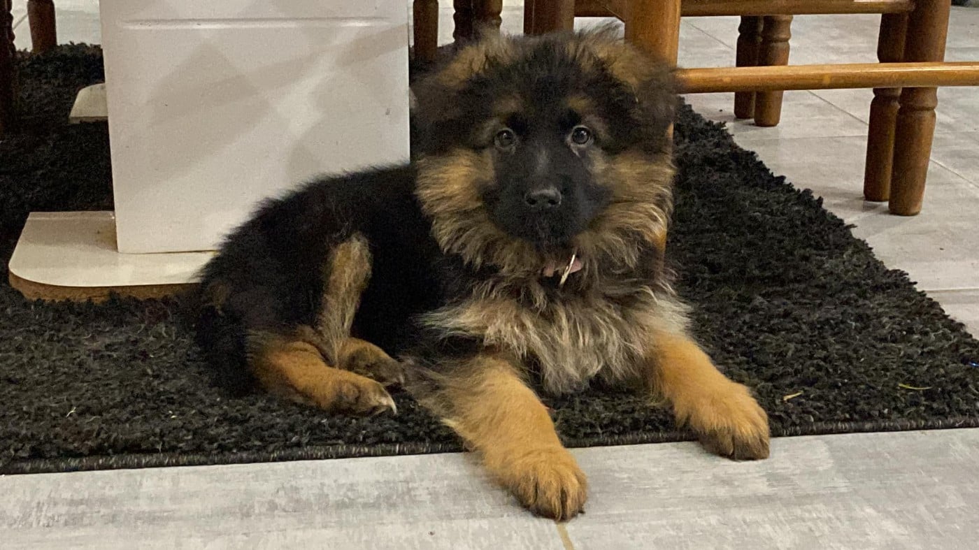 Légitime Démence Vibes-of-darkness