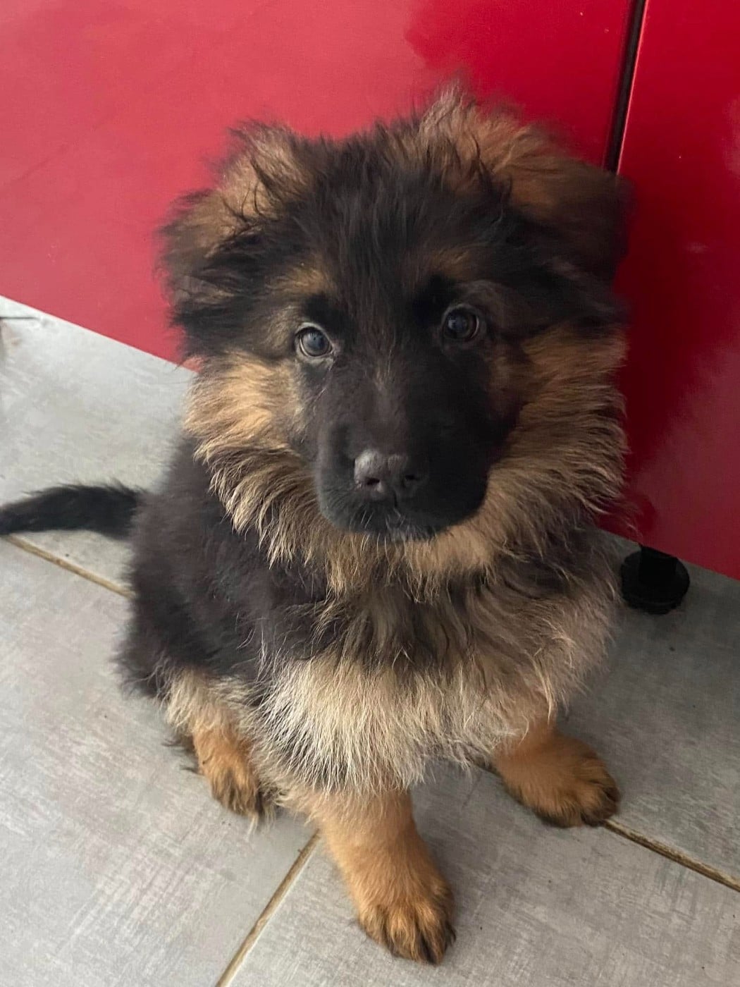 Légitime Démence Vibes-of-darkness