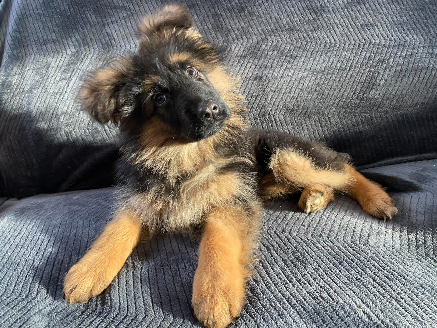 Légitime Démence Vibes-of-darkness