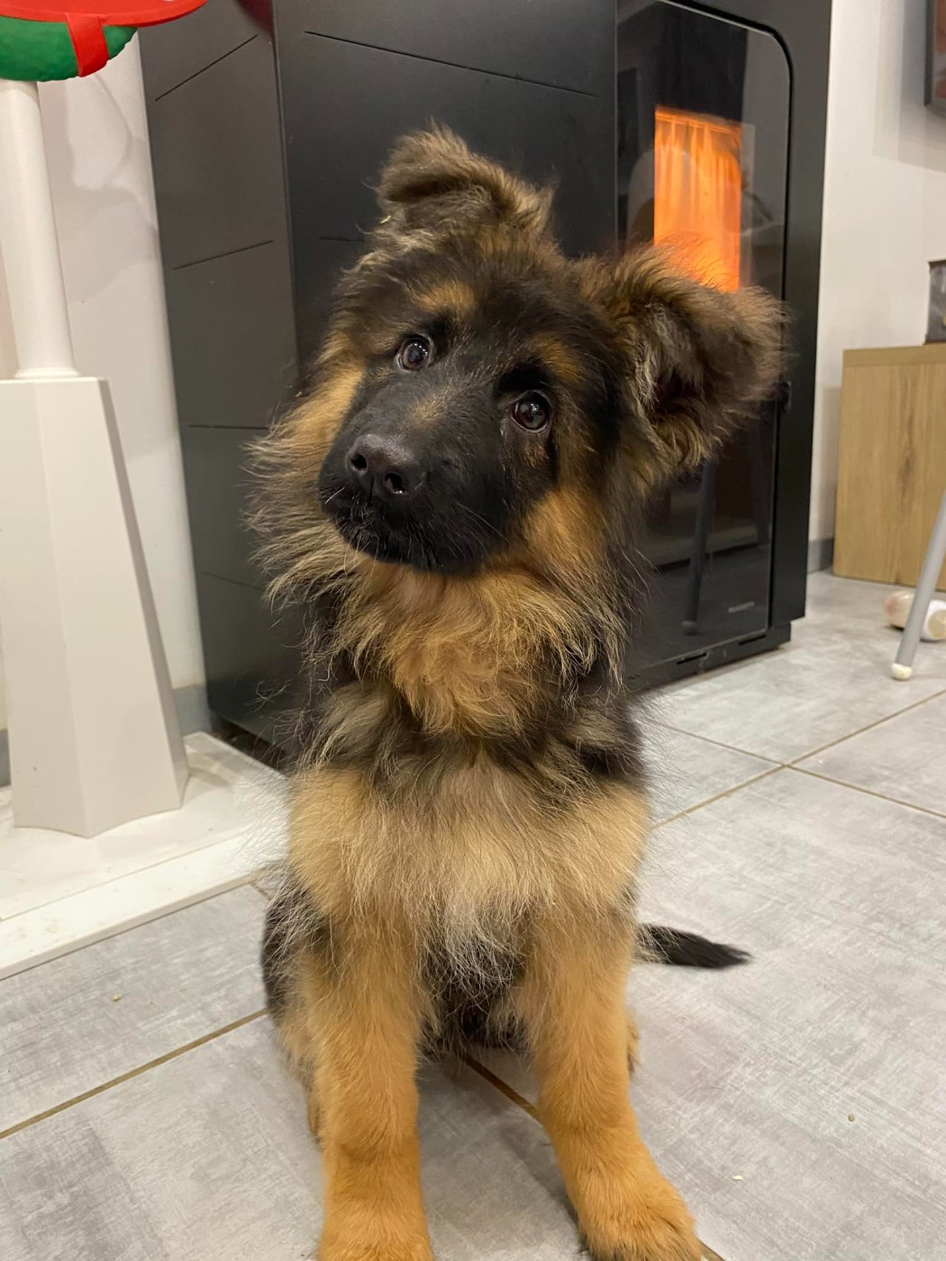 Légitime Démence Vibes-of-darkness