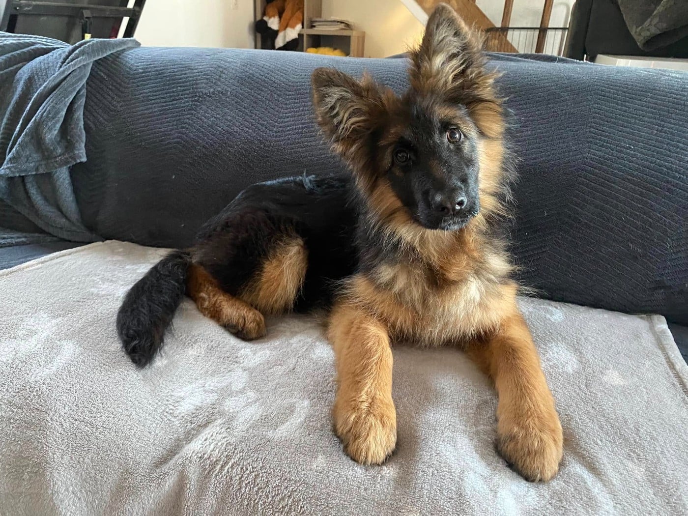 Légitime Démence Vibes-of-darkness