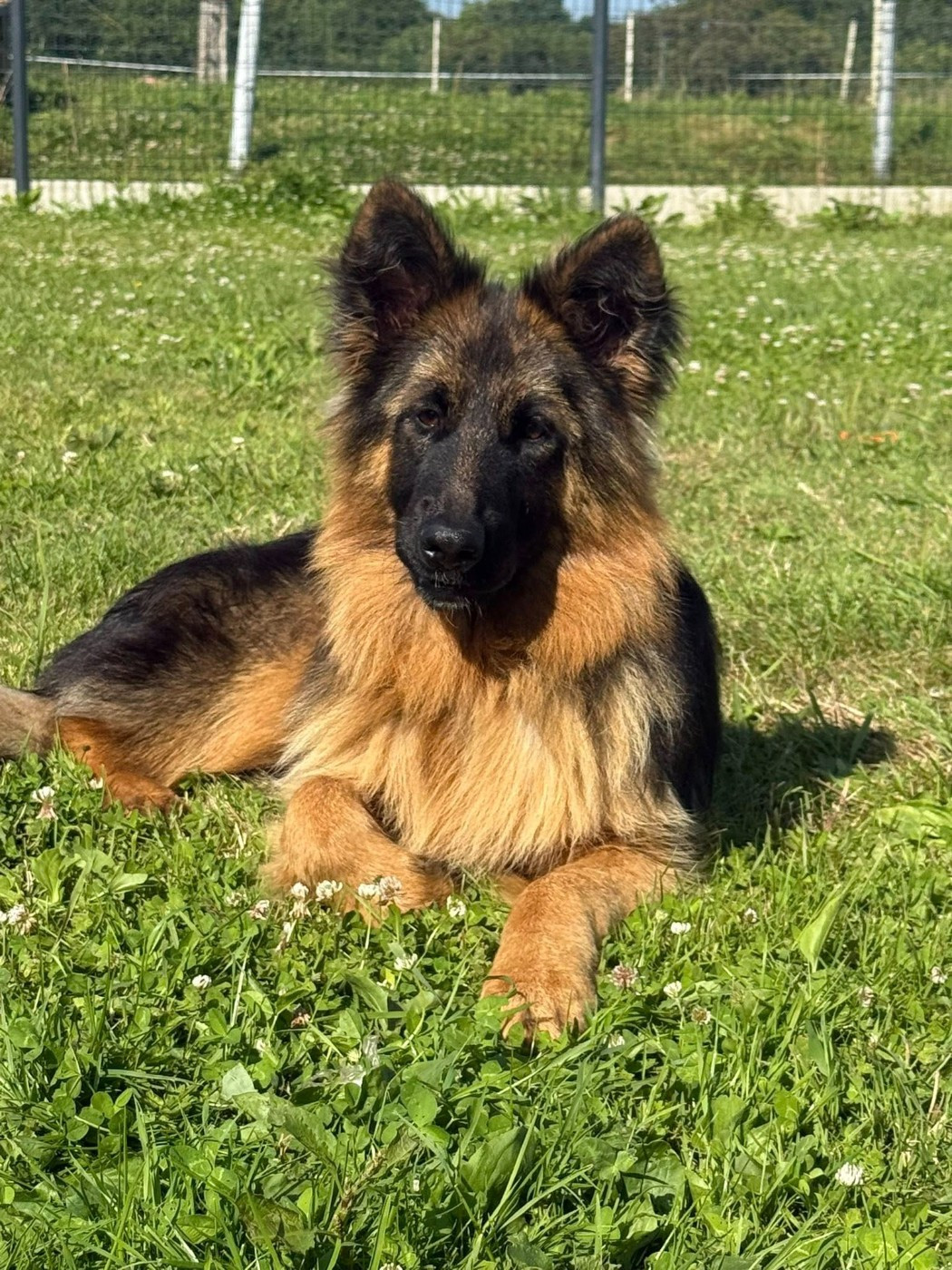 Légitime Démence Vibes-of-darkness