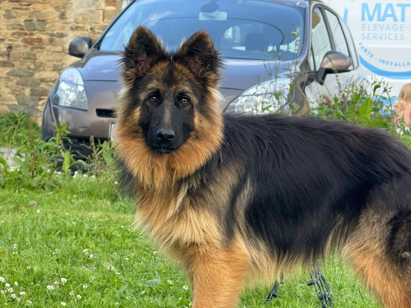 Légitime Démence Vibes-of-darkness