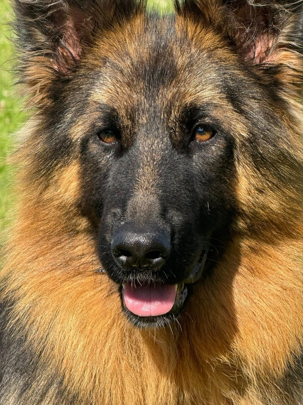 Légitime Démence Vibes-of-darkness