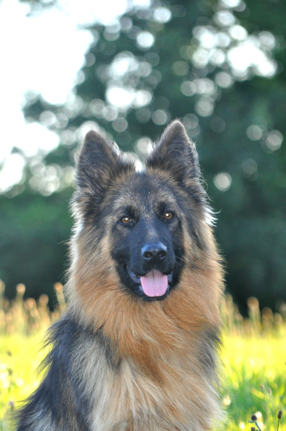 Légitime Démence Vibes-of-darkness